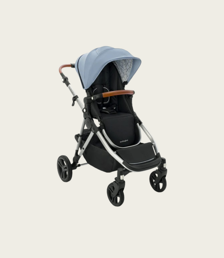 Single-to-Double Stroller 2.0