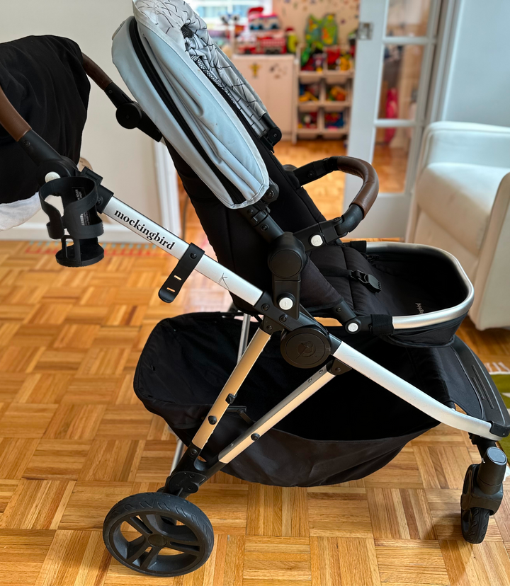 Single-to-Double Stroller 2.0