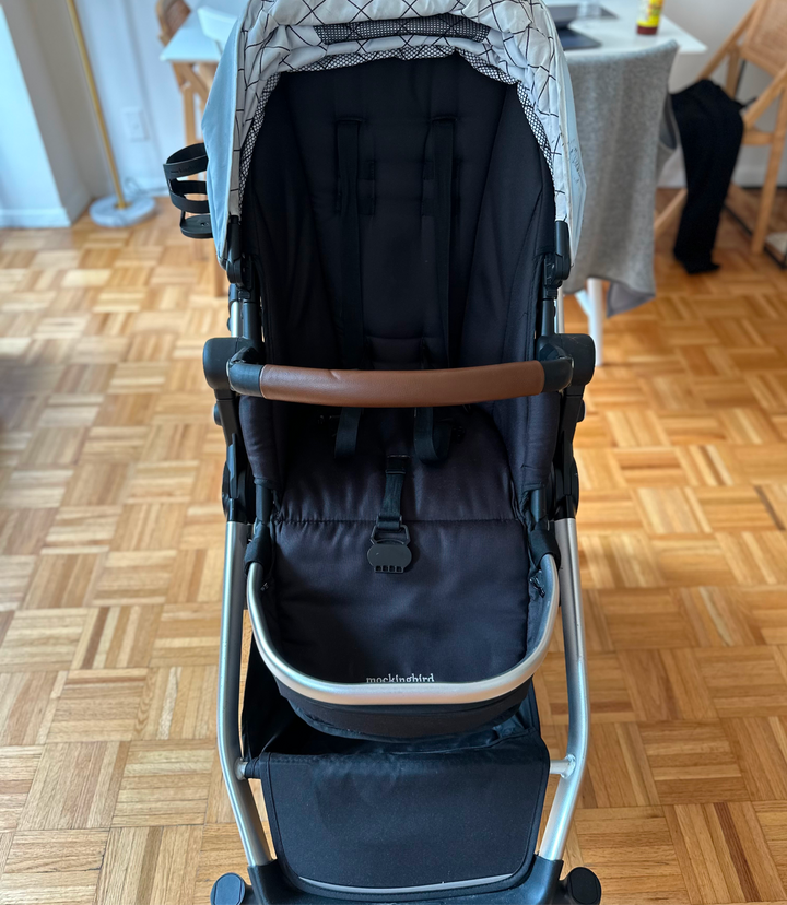 Single-to-Double Stroller 2.0